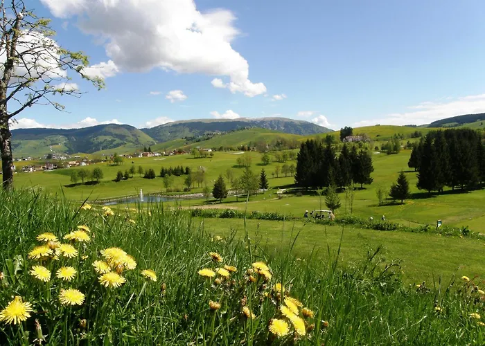 호텔 Meltar Boutique Golf & 아지아고